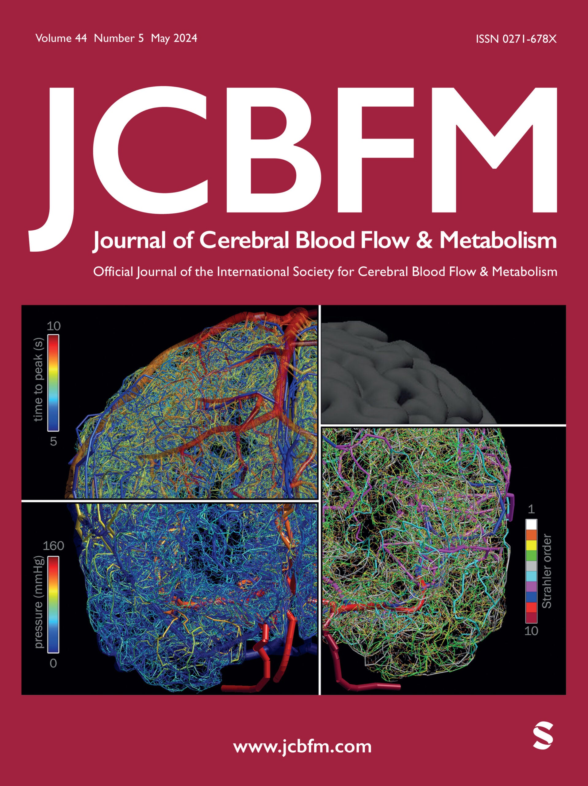 cover page of Journal of Cerebral Blood Flow & Metabolism in May 2024.